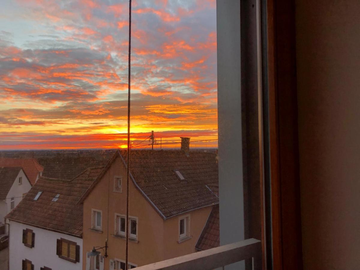 Gaestehaus Susanne Pfaffmann Landau in der Pfalz Luaran gambar