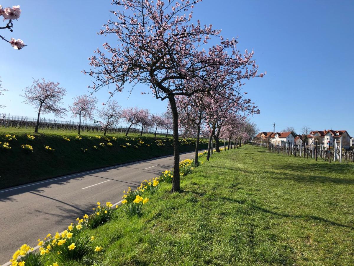 Gaestehaus Susanne Pfaffmann Landau in der Pfalz Luaran gambar