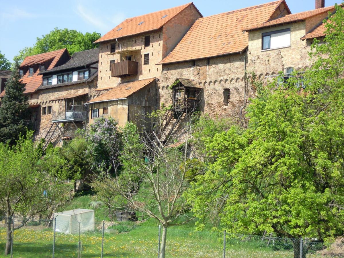Gaestehaus Susanne Pfaffmann Landau in der Pfalz Luaran gambar
